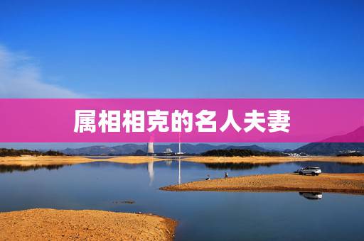 属相相克的名人夫妻，属相相冲结婚的名人