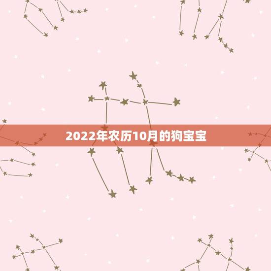 2022年农历10月的狗宝宝，2022虎命太苦