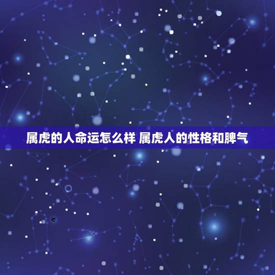 属虎的人命运怎么样 属虎人的性格和脾气