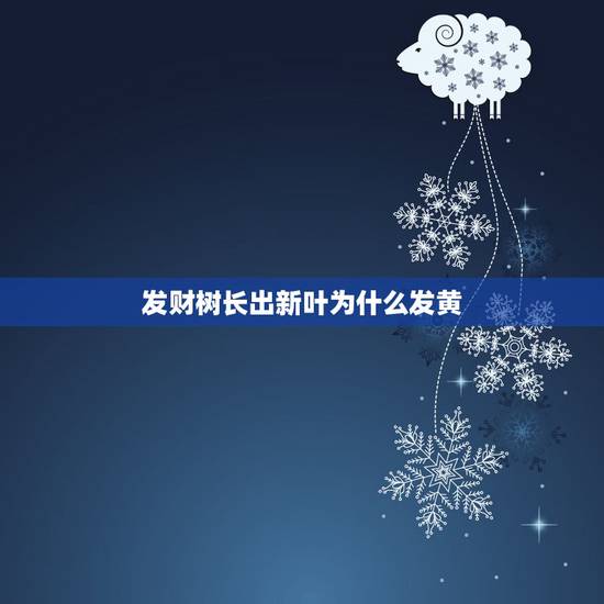 发财树长出新叶为什么发黄,发财树底下转黄色的小蘑菇是怎么回事? 发财树长出新叶为什么发黄,发财树底下转黄色的小蘑菇是怎么回事?