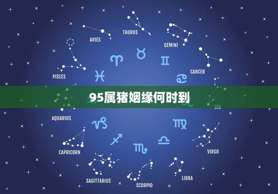 95属猪姻缘何时到，2022 年属猪的桃花运如何