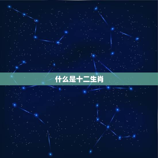 什么是十二生肖 什么是十二生肖