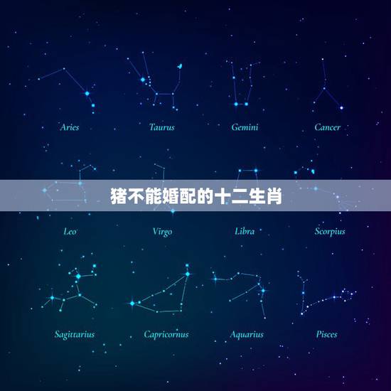 猪不能婚配的十二生肖，属猪和什么生肖相冲