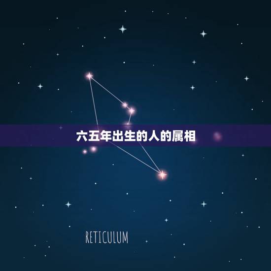 六五年出生的人的属相,六五出生的人属相是什么? 六五年出生的人的属相,六五出生的人属相是什么?
