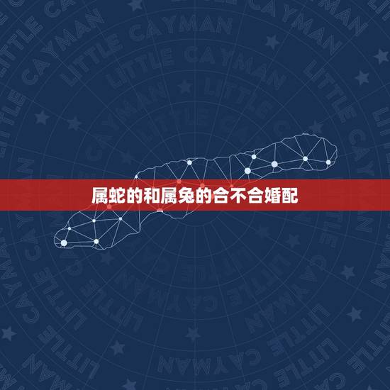 属蛇的和属兔的合不合婚配,属羊的和属狗的合不合 属蛇的和属兔的合不合婚配,属羊的和属狗的合不合