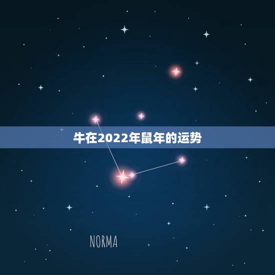 牛在2022年鼠年的运势,73年属牛一生三灾难 牛在2022年鼠年的运势,73年属牛一生三灾难