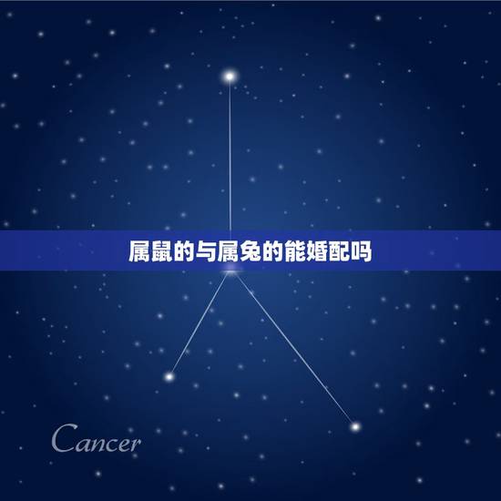 属鼠的与属兔的能婚配吗,生肖兔和鼠相配吗 详细�0�3 属鼠的与属兔的能婚配吗,生肖兔和鼠相配吗 详细�0�3