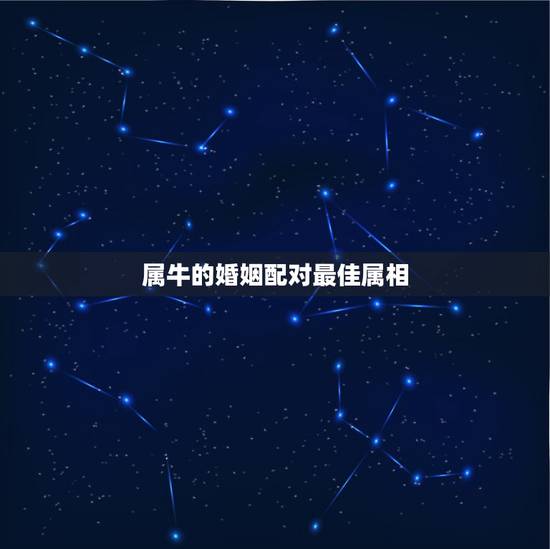 属牛的婚姻配对最佳属相，属牛的和什么属相最配