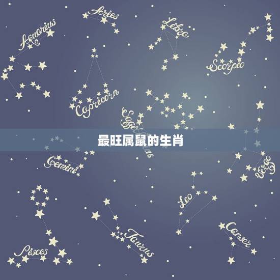最旺属鼠的生肖,2022 属鼠养什么动物最旺 最旺属鼠的生肖,2022 属鼠养什么动物最旺