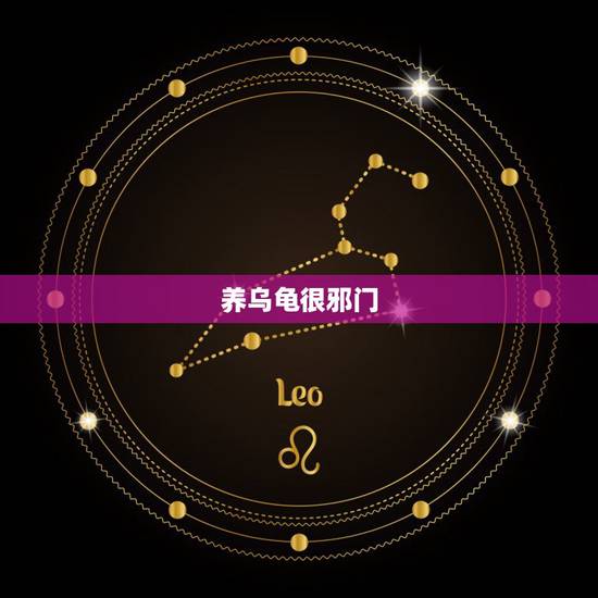 养乌龟很邪门，为什么养的乌龟很容易死？