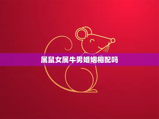 属鼠女属牛男婚姻相配吗(如何避免婚姻矛盾) 属鼠女属牛男婚姻相配吗(如何避免婚姻矛盾)