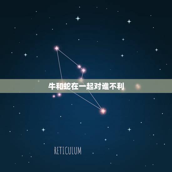 牛和蛇在一起对谁不利,属牛和属蛇婚姻配不配 牛和蛇在一起对谁不利,属牛和属蛇婚姻配不配