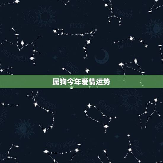 属狗今年爱情运势，手游排行榜属狗的人今年爱情运势？