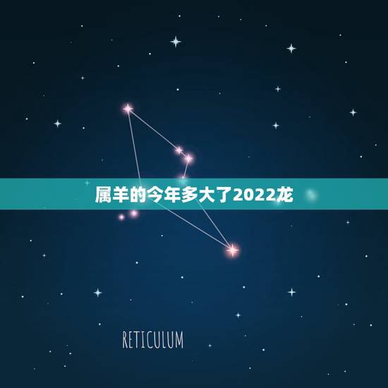 属羊的今年多大了2022龙,属鼠的今年多大 属羊的今年多大了2022龙,属鼠的今年多大