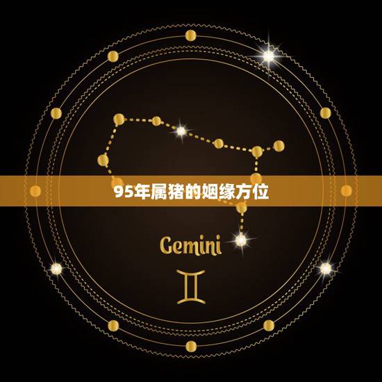 95年属猪的姻缘方位，95年属猪女的桃花运