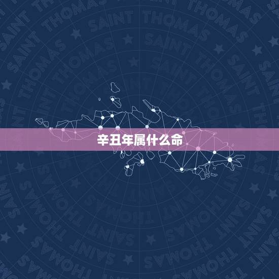辛丑年属什么命，庚子年五行属什么