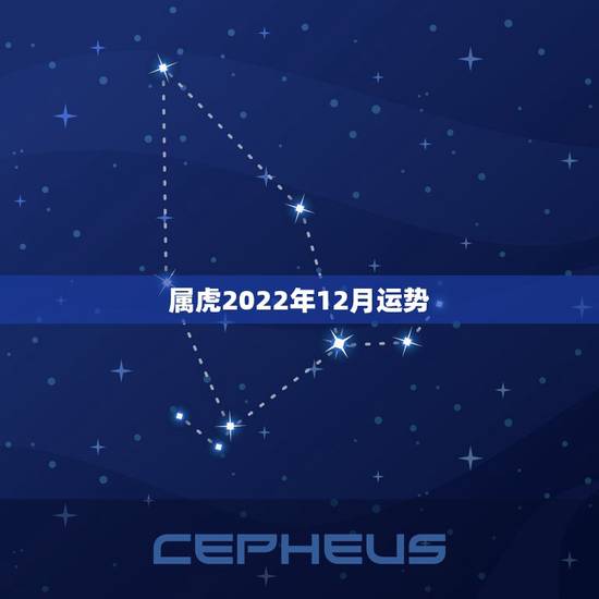 属虎2022年12月运势,2022 年属虎人的全年运势 属虎2022年12月运势,2022 年属虎人的全年运势