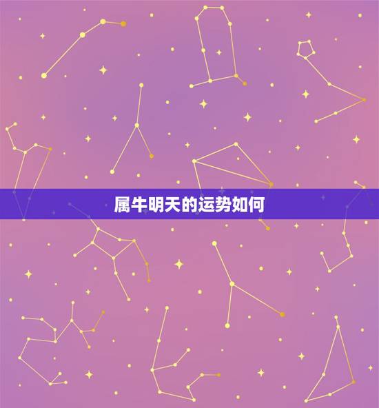 属牛明天的运势如何，属牛明天的运势怎么样