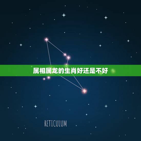 属相属龙的生肖好还是不好，1992年属猴男婚姻在东西南北那个方向