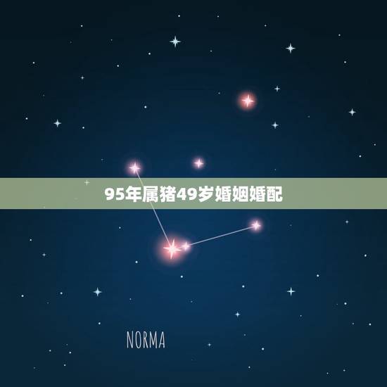95年属猪49岁婚姻婚配,95年属猪最佳婚配属相 95年属猪49岁婚姻婚配,95年属猪最佳婚配属相