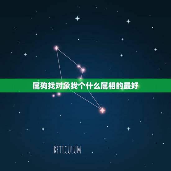 属狗找对象找个什么属相的最好,属相属狗的婚配什么属相最好 属狗找对象找个什么属相的最好,属相属狗的婚配什么属相最好