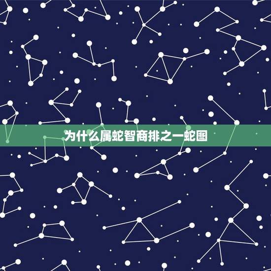 为什么属蛇智商排之一蛇图,水瓶座智商排第几 为什么属蛇智商排之一蛇图,水瓶座智商排第几