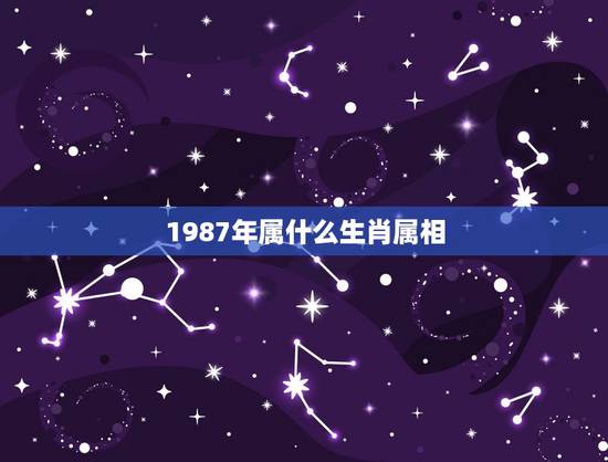 1987年属什么生肖属相，1987年属什么生肖？