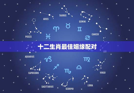十二生肖最佳姻缘配对 12生肖上等婚配