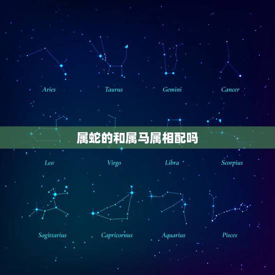 属蛇的和属马属相配吗，属蛇的人能和属马的相配吗？