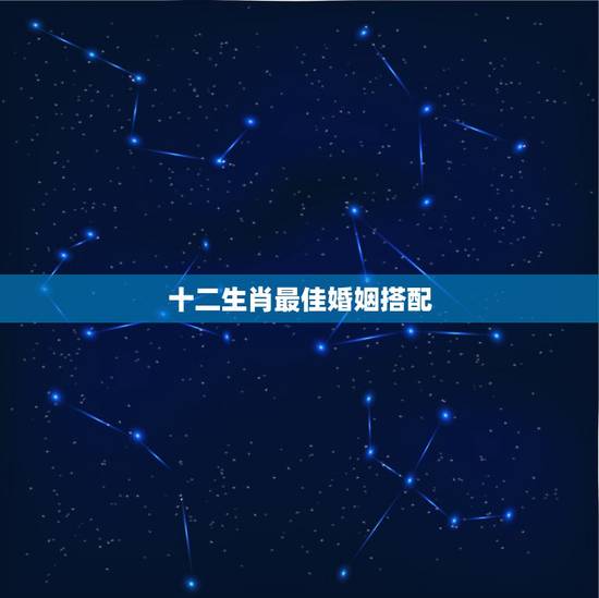 十二生肖最佳婚姻搭配,12属相婚配 十二生肖最佳婚姻搭配,12属相婚配