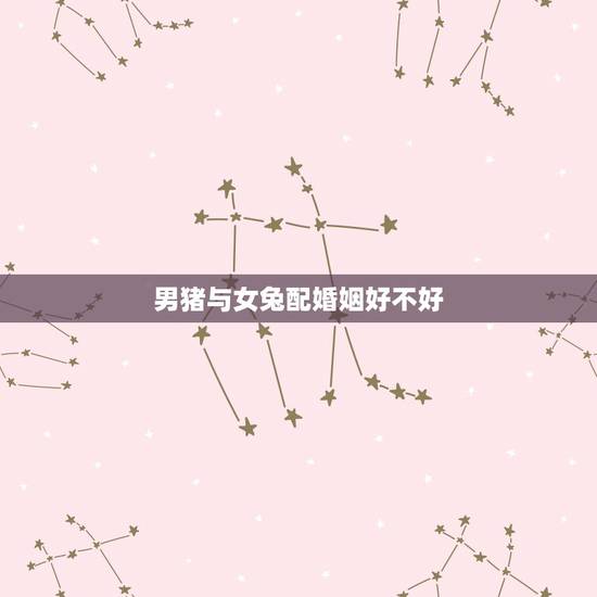 男猪与女兔配婚姻好不好,男猪女牛配婚姻好不好 男猪与女兔配婚姻好不好,男猪女牛配婚姻好不好