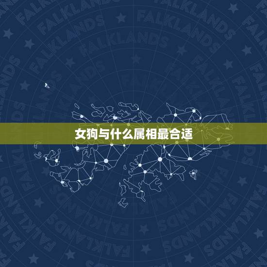 女狗与什么属相最合适，属狗的和什么属相合得来