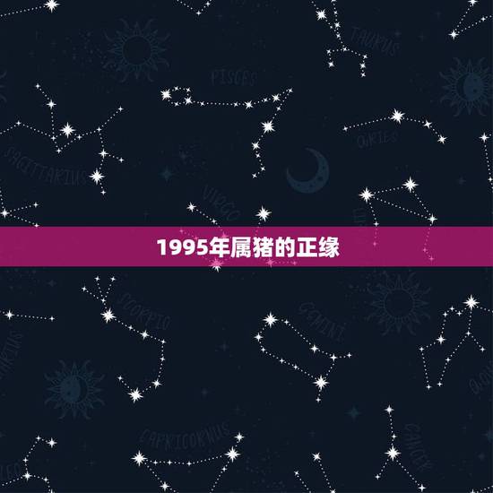 1995年属猪的正缘,1995年属猪人姻缘方向 1995年属猪的正缘,1995年属猪人姻缘方向