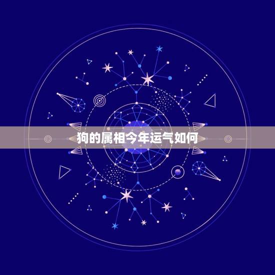 狗的属相今年运气如何，我是82年农历冬月二十九晚11点出生的女属狗在2