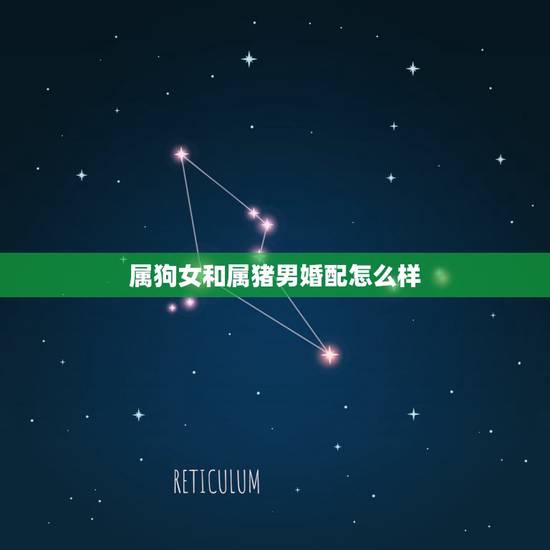 属狗女和属猪男婚配怎么样，属猪男和什么属相最配和属狗女配吗