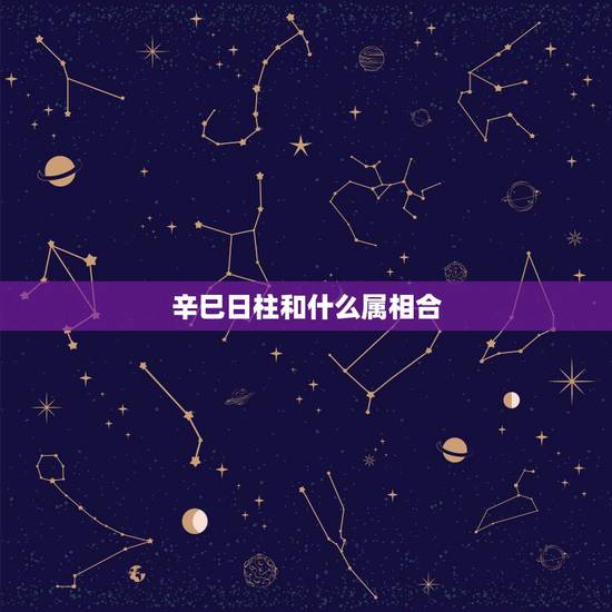 辛巳日柱和什么属相合，辛巳日日干属相属什么？