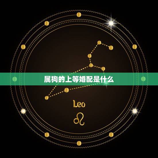 属狗的上等婚配是什么,属狗的属相婚配表 属狗的上等婚配是什么,属狗的属相婚配表