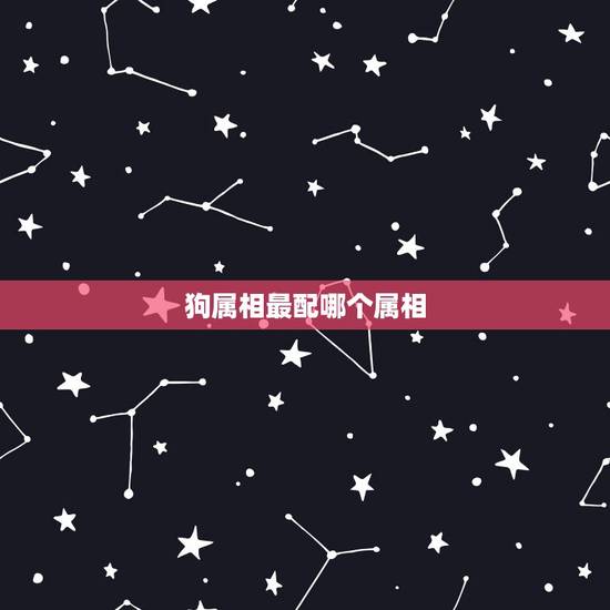 狗属相最配哪个属相，属狗给什么最配