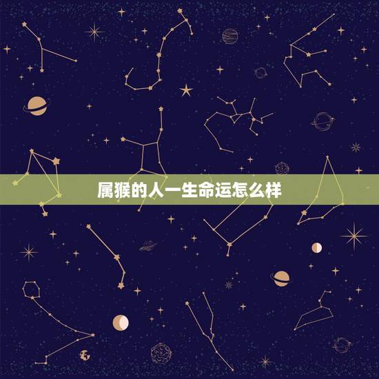 属猴的人一生命运怎么样，属猴的人的命运如何