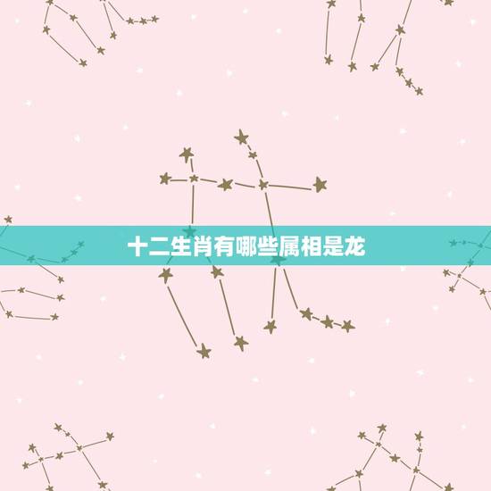 十二生肖有哪些属相是龙，十二生肖中，属龙的与属什么最相生或最相克？