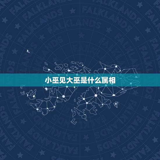 小巫见大巫是什么属相，小巫见大巫—相形见绌.猜一生肖？
