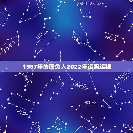 1987年的属兔人2022年运势运程,2022年属兔运势女性 1987年的属兔人2022年运势运程,2022年属兔运势女性
