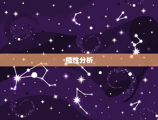相性分析