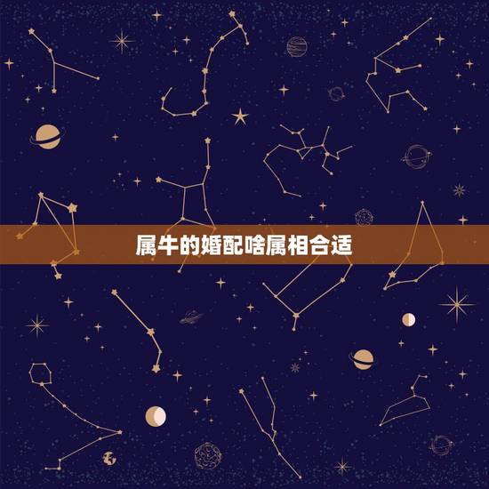 属牛的婚配啥属相合适,属牛的和什么属相最配 属牛的婚配啥属相合适,属牛的和什么属相最配