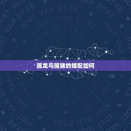 属龙与属猪的婚配如何,男属猪女属龙的婚姻相配吗? 属龙与属猪的婚配如何,男属猪女属龙的婚姻相配吗?