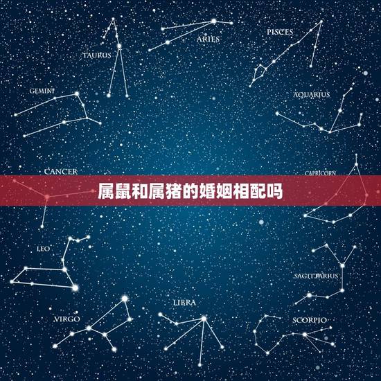 属鼠和属猪的婚姻相配吗,生肖猴一辈子贵人是谁 属鼠和属猪的婚姻相配吗,生肖猴一辈子贵人是谁