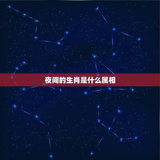 夜间的生肖是什么属相，十二生肖里晚上的生肖有哪些