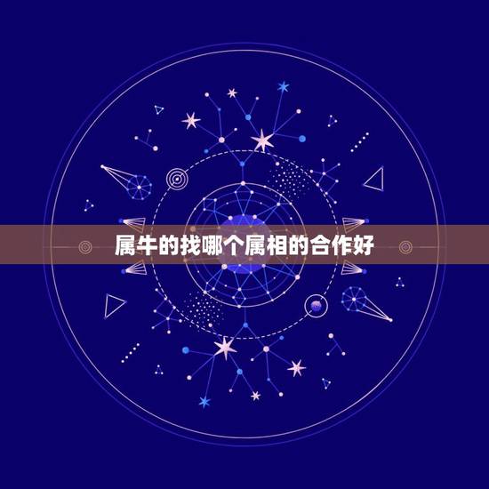 属牛的找哪个属相的合作好，属牛人13年开店店面朝哪个方向好