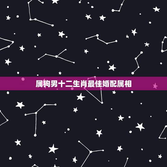 属狗男十二生肖最佳婚配属相，属鼠的和什么属相最配？