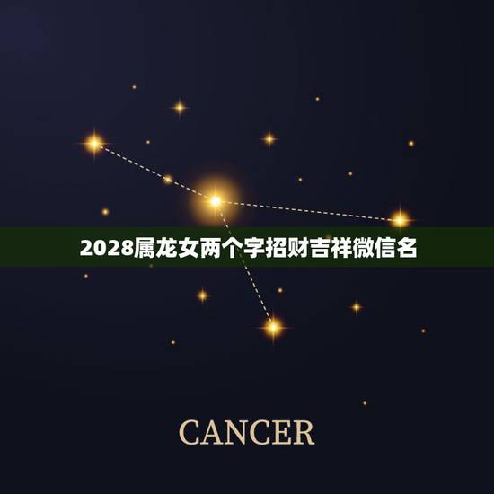 2028属龙女两个字招财吉祥微信名，属龙人的微信头像及昵称